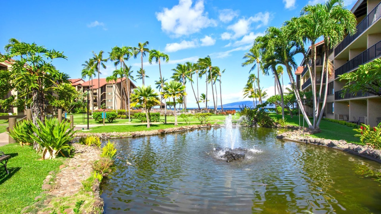 Photo of Outdoor in Napili