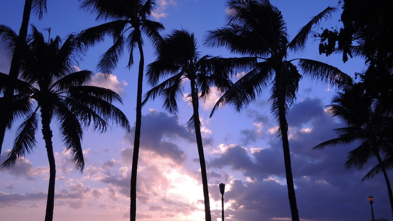 Photo of Others in McCully - Moiliili