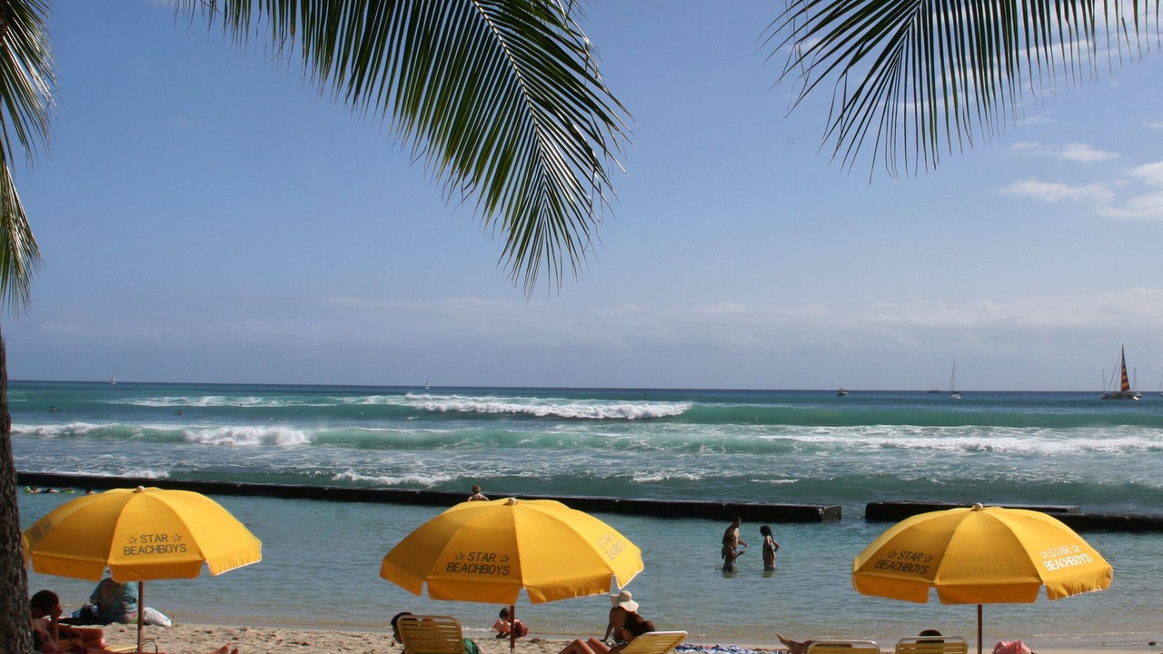 Photo of Others in McCully - Moiliili