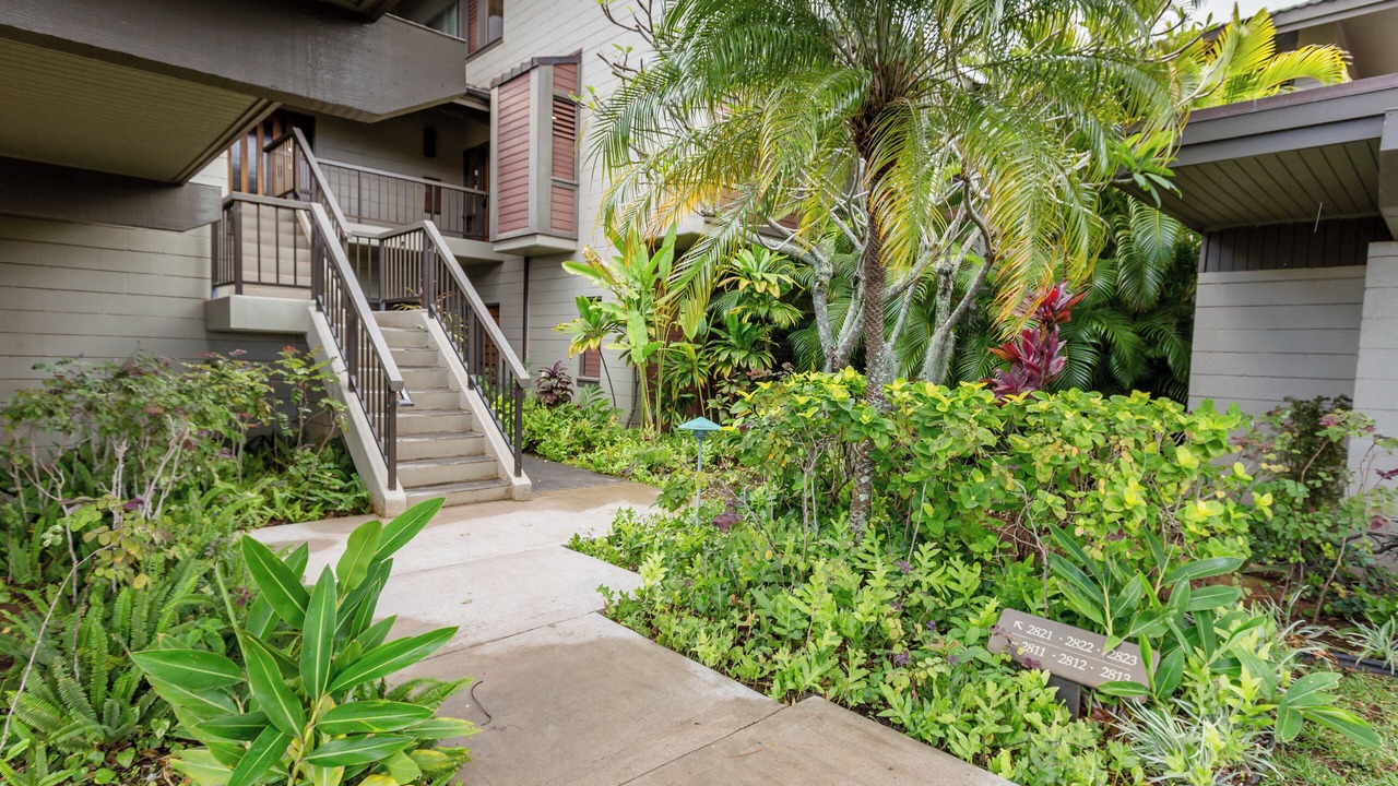 Photo of Outdoor in Napili