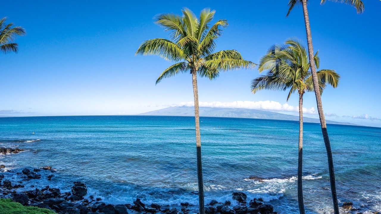 Photo of Others in Kahana
