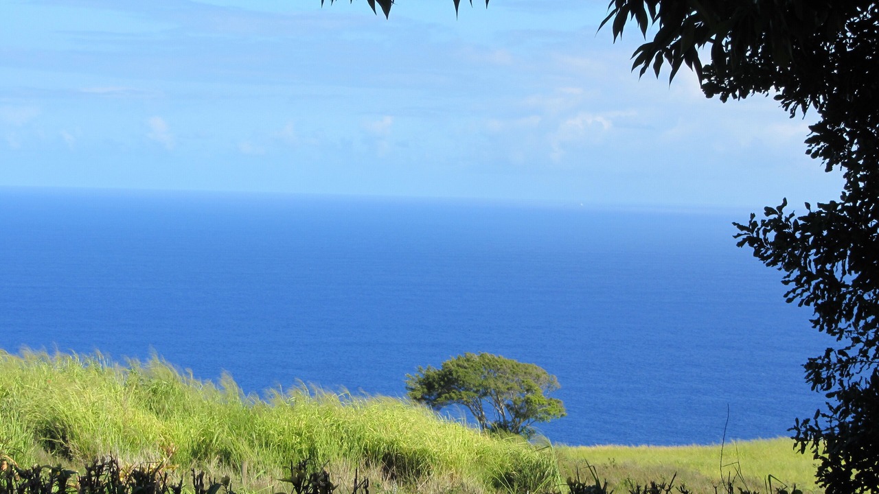 Photo of Outdoor in Kukuihaele