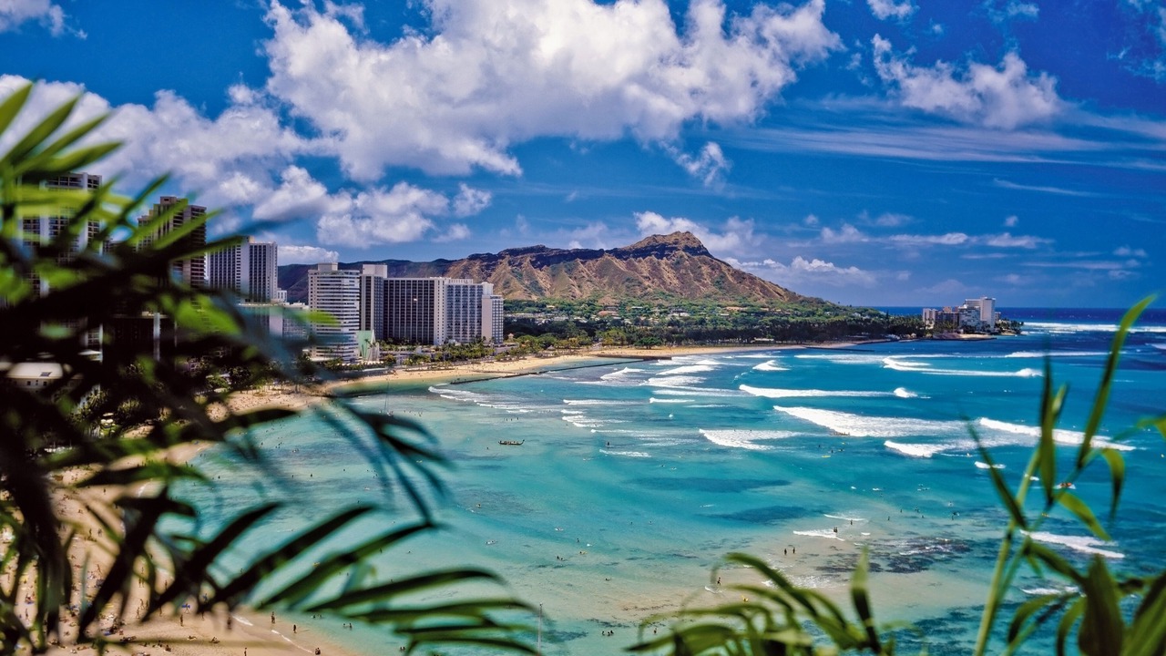 Photo of Others in McCully - Moiliili