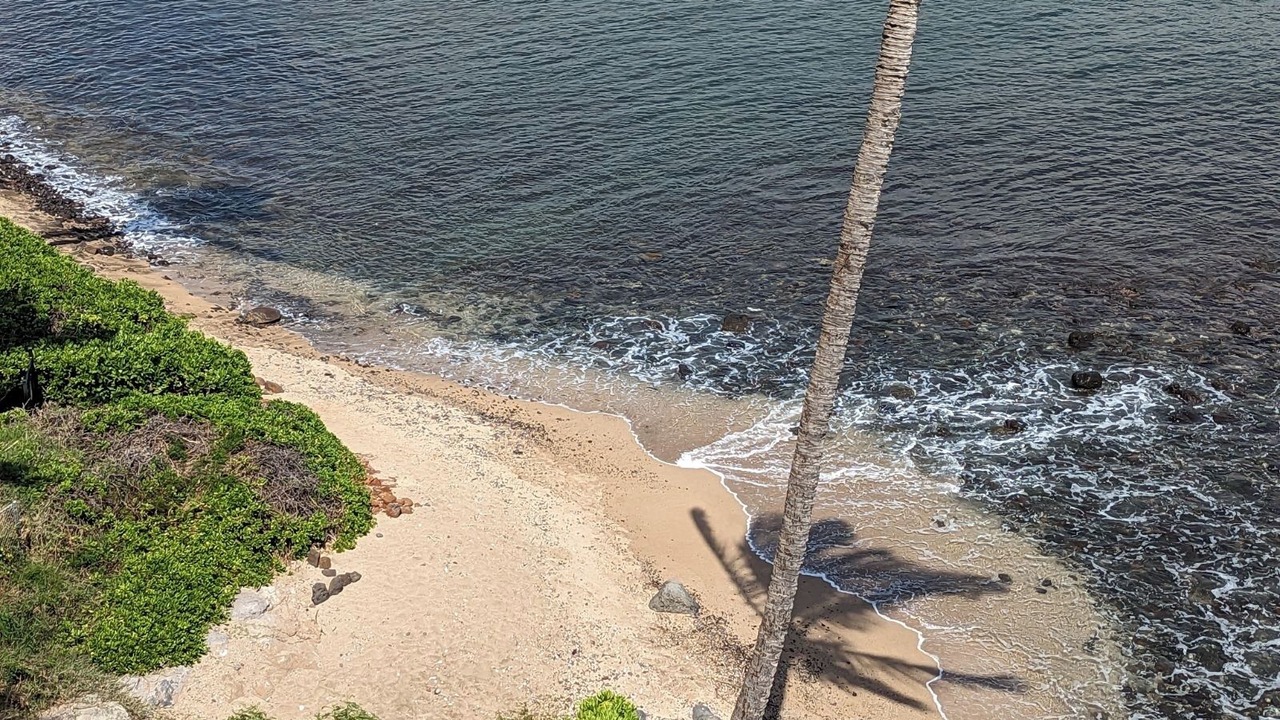 Photo of Others in Maalaea