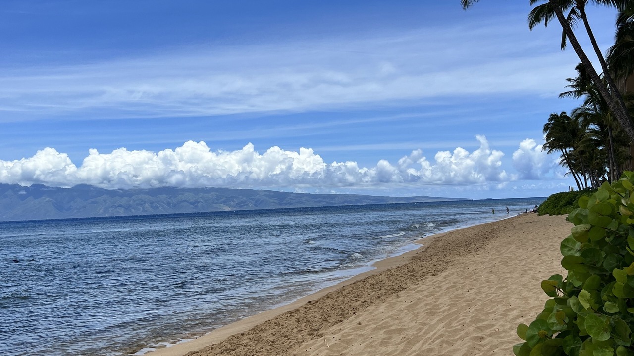 Photo of Others in Lahaina