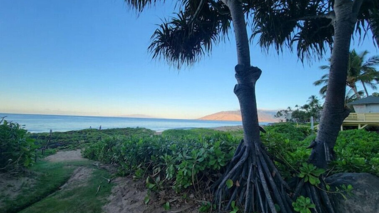 Photo of Outdoor in Kihei