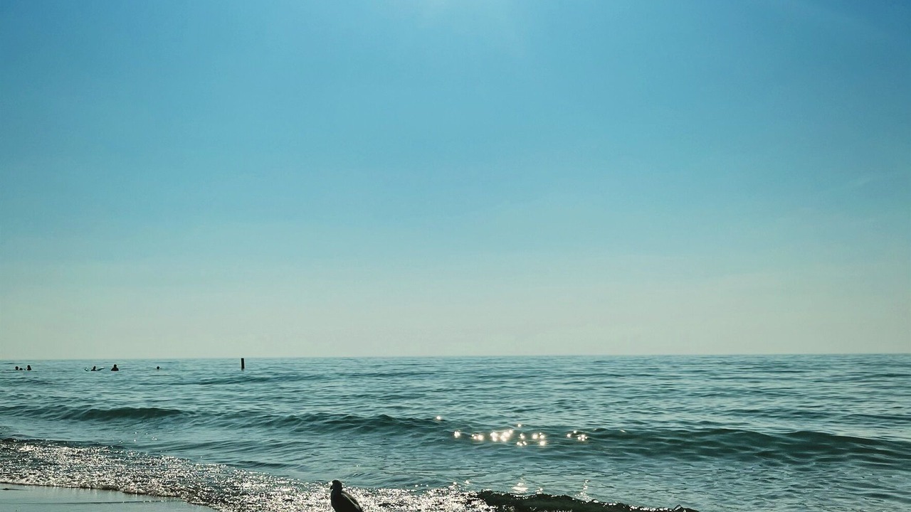 Photo of Outdoor in Stevensville