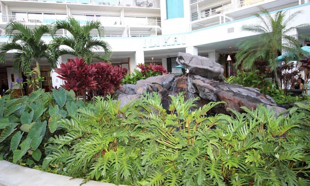 Photo of Others in Ala Moana