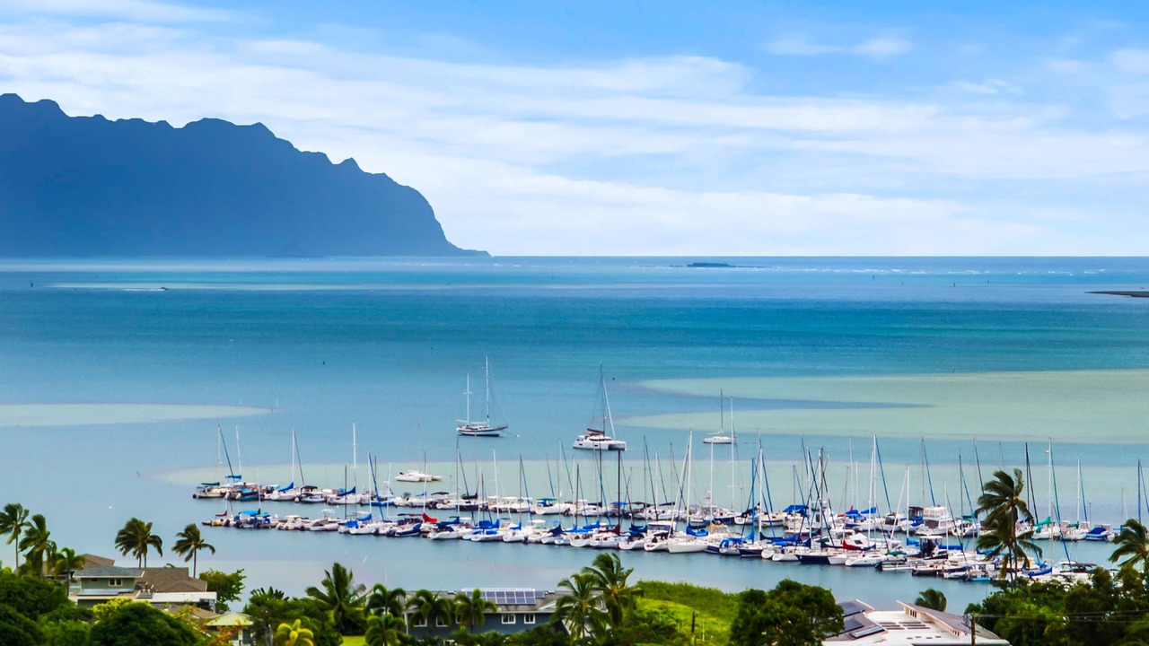 Photo of Others in Kaneohe