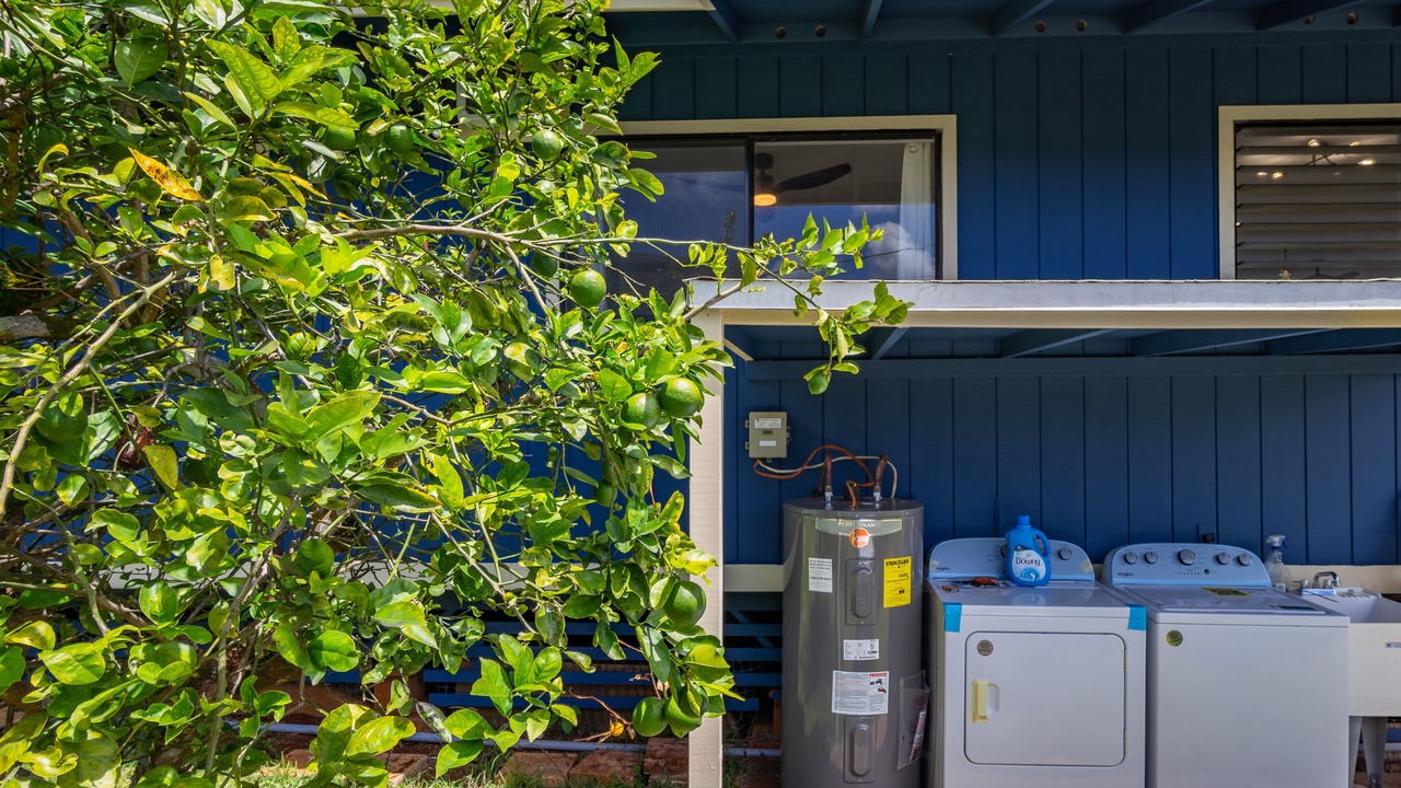 Photo of Outdoor in Wahiawa