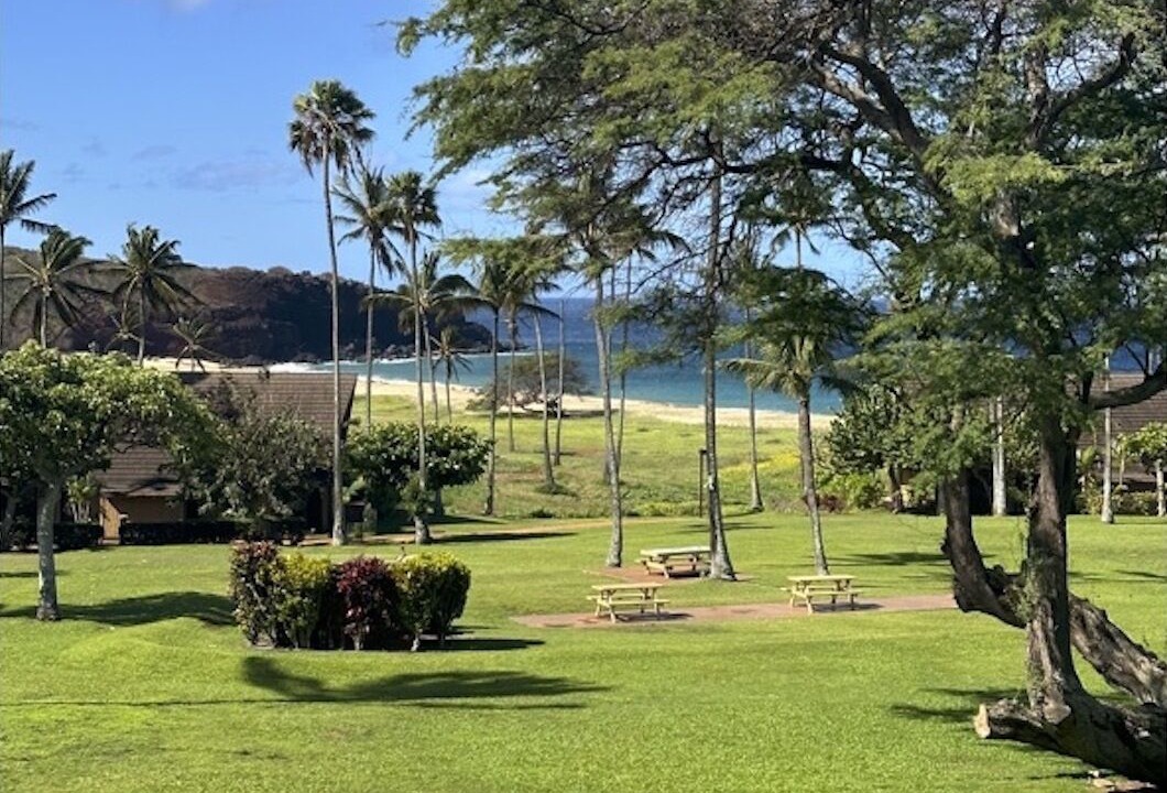 Photo of Others in Maunaloa