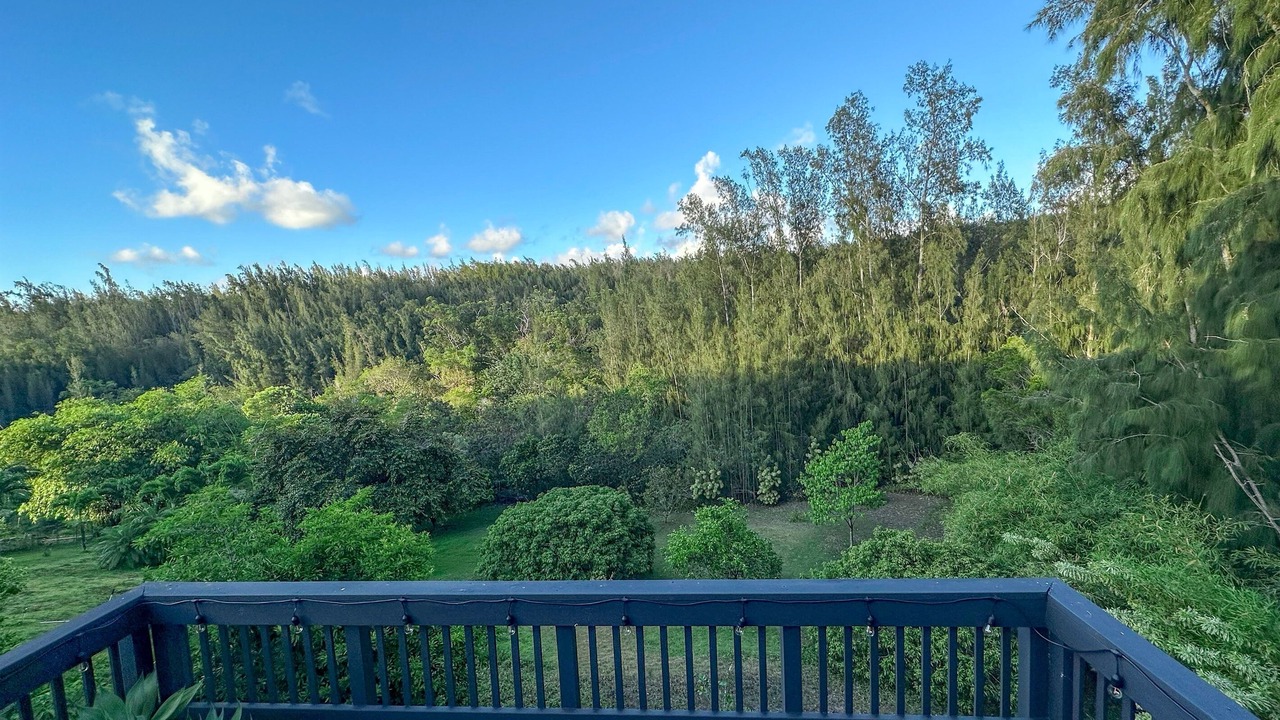 Photo of Others in Pupukea
