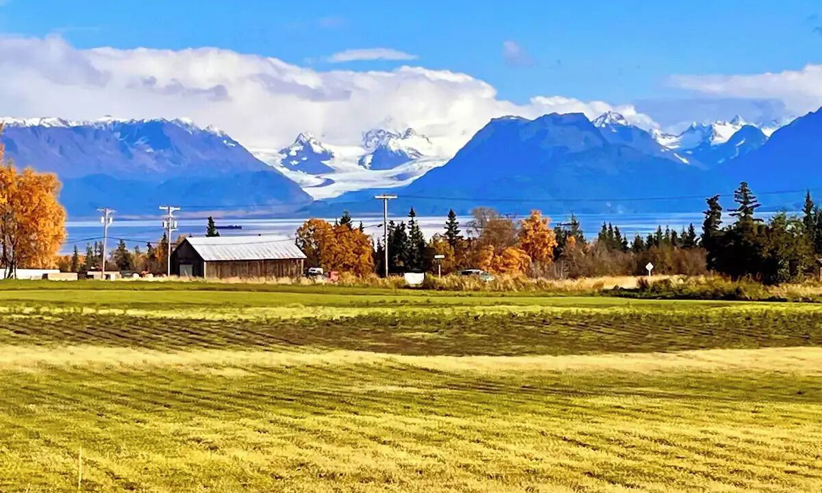 Photo of Outdoor in Kachemak