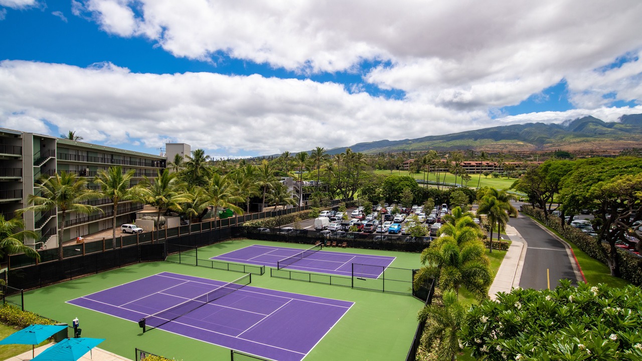 Photo of Others in Kaanapali