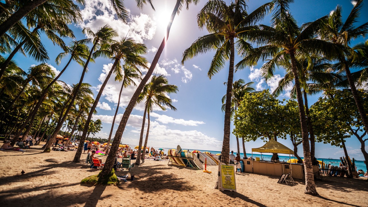 Photo of Others in Kaka'ako