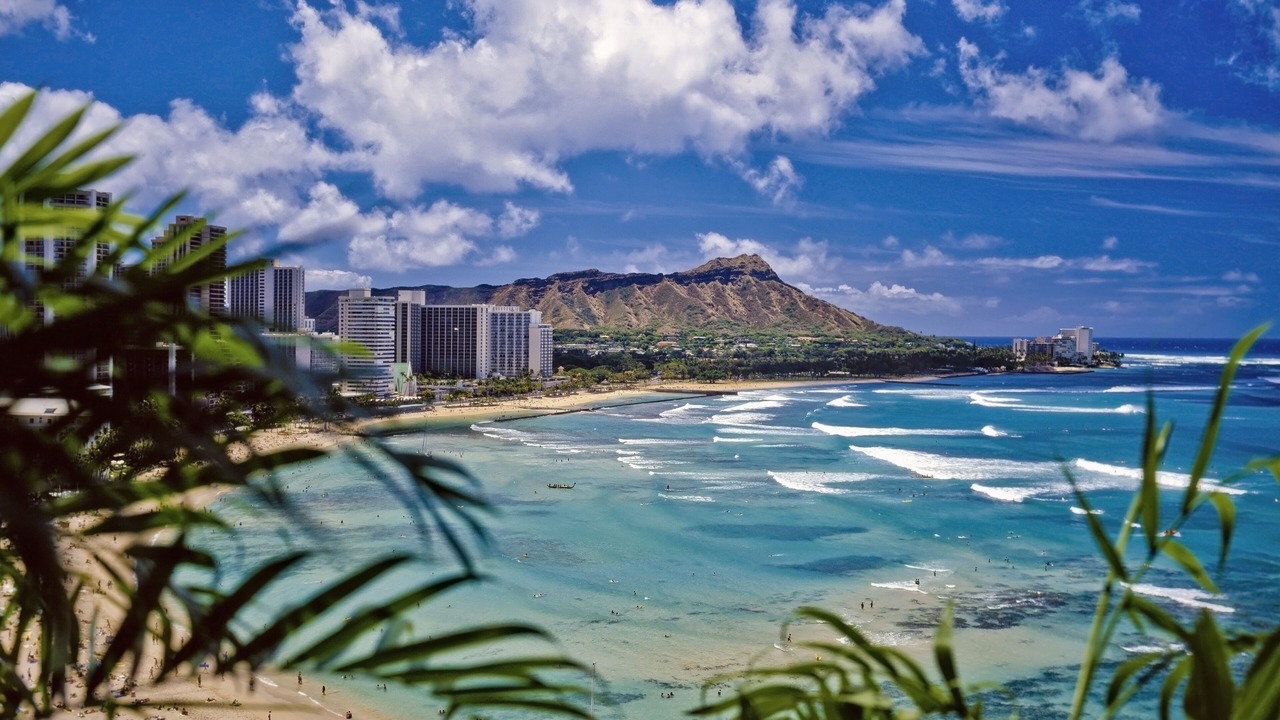 Photo of Others in Kaka'ako