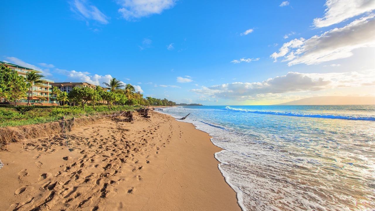 Photo of Others in Lahaina
