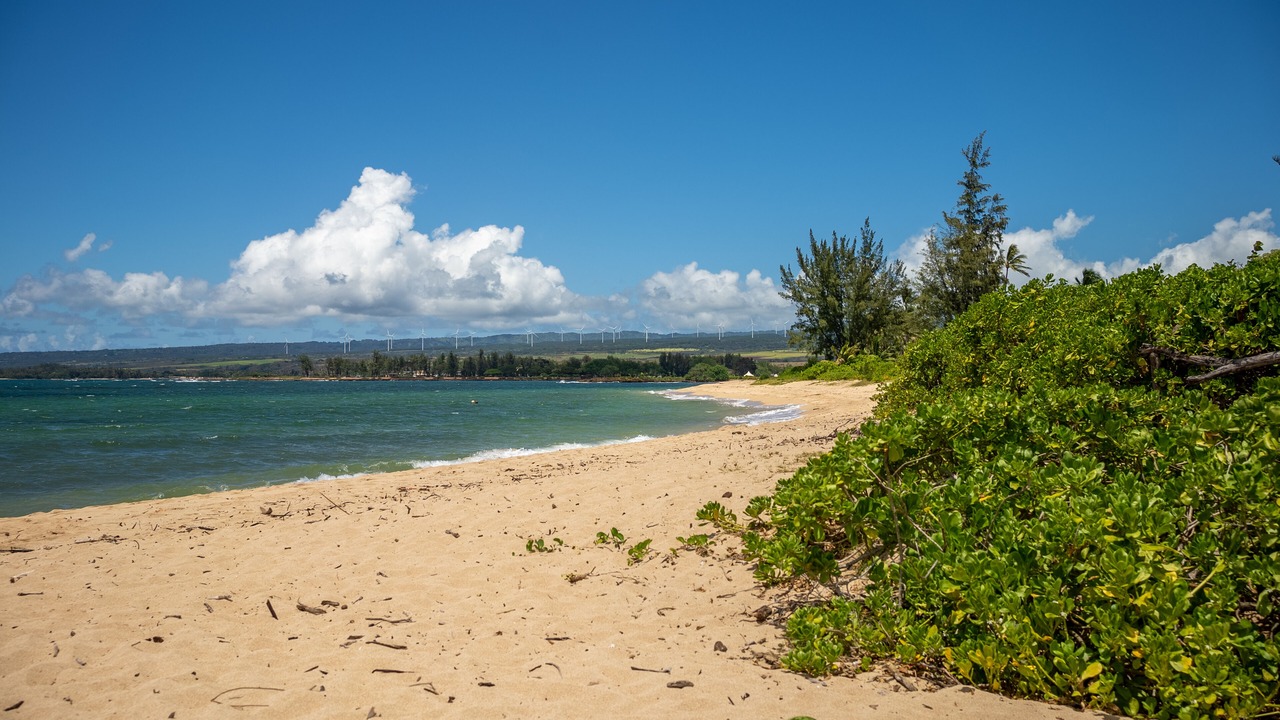 Photo of Others in Waialua