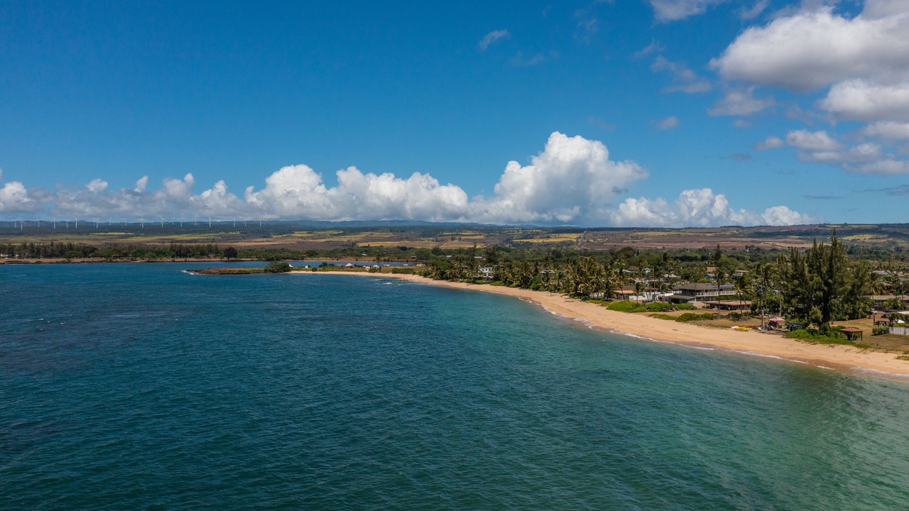 Photo of Others in Waialua