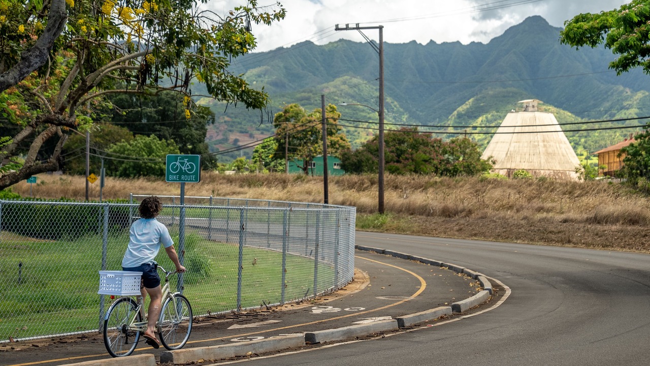 Photo of Others in Waialua