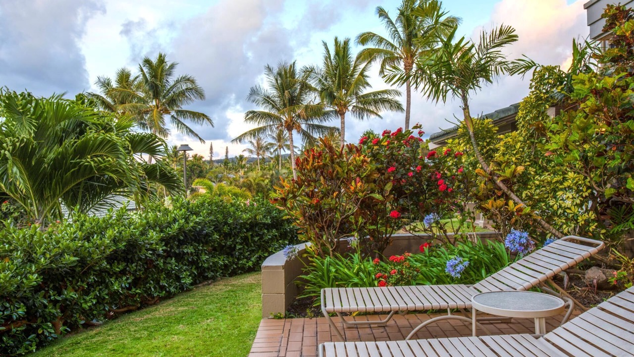 Photo of Outdoor in Napili