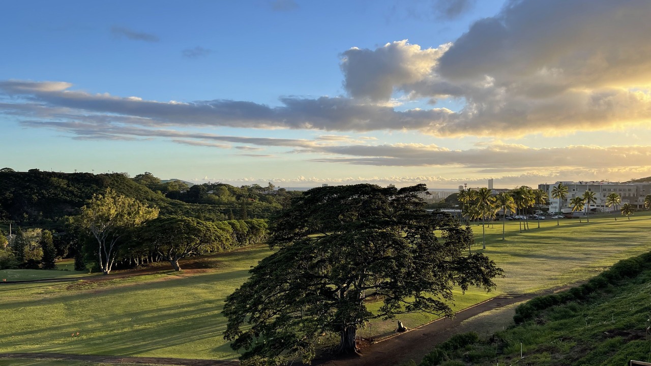 Photo of Others in Moanalua