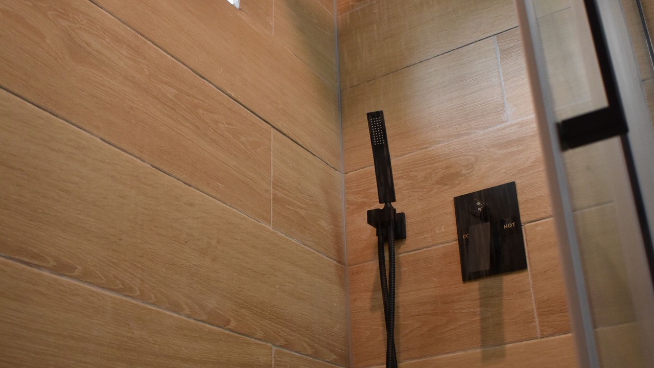 Photo of Bathroom in Kapoho