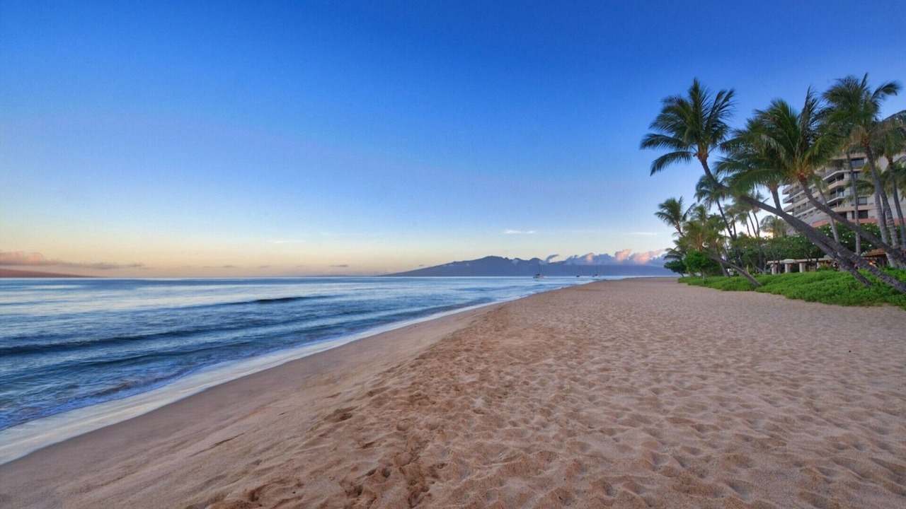 Photo of Others in Kaanapali