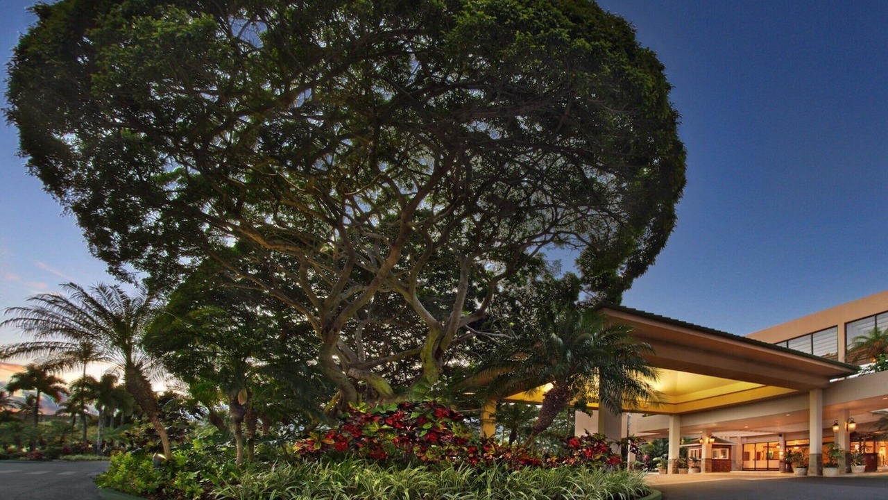 Photo of Outdoor in Kaanapali