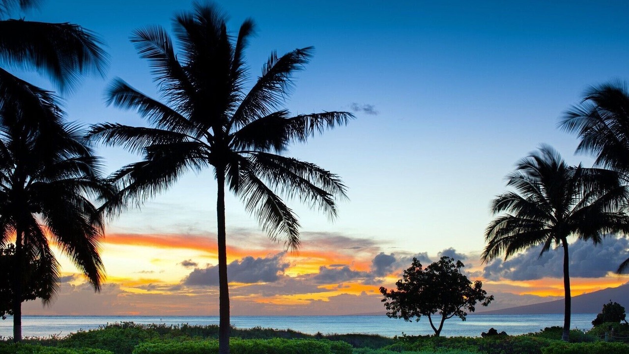 Photo of Outdoor in Kaanapali