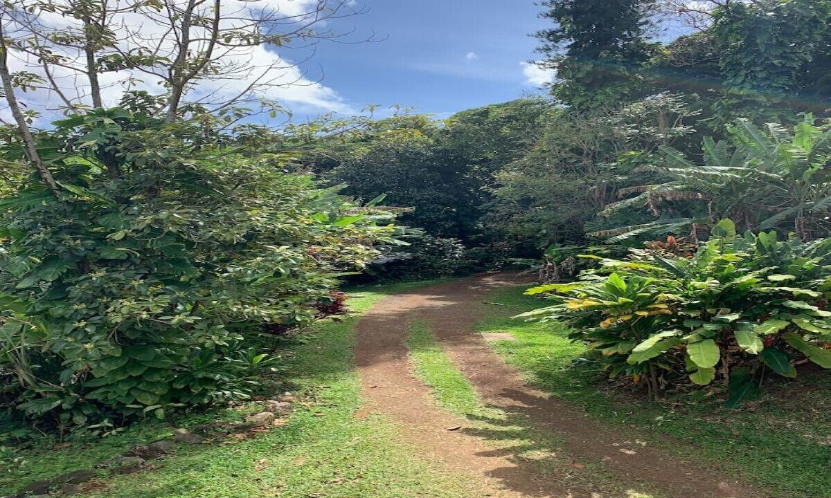 Photo of Outdoor in Hana