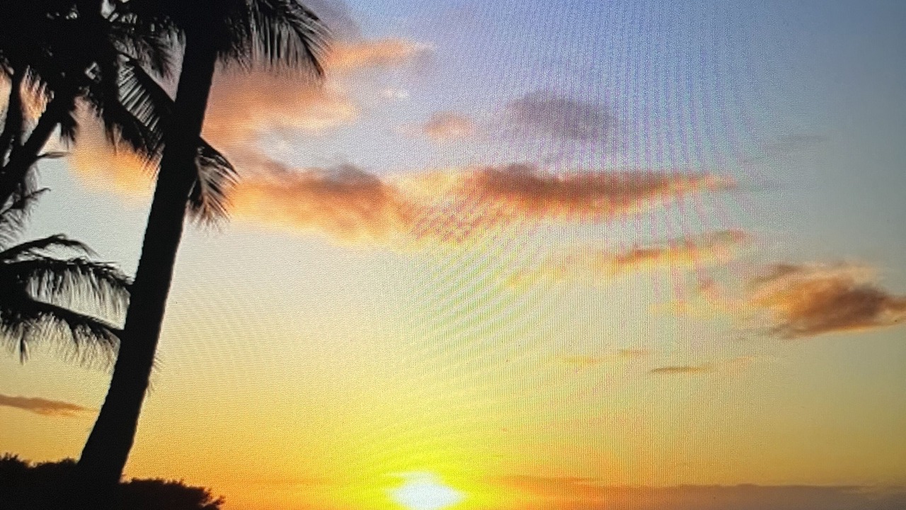 Photo of Others in Waialua