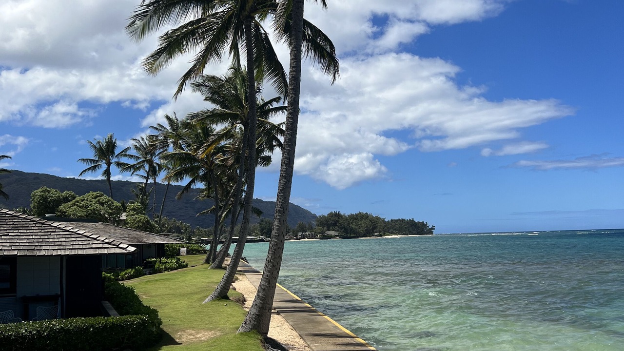 Photo of Others in Waialua