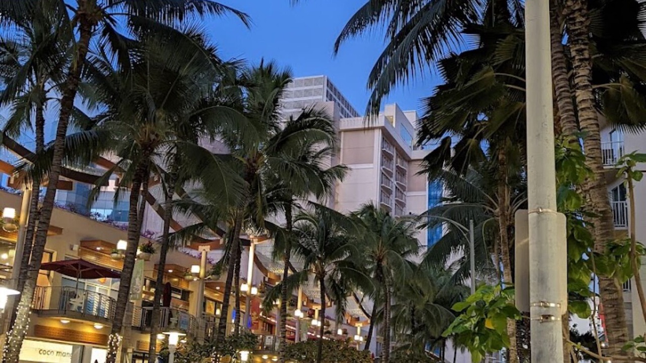 Photo of Others in Honolulu