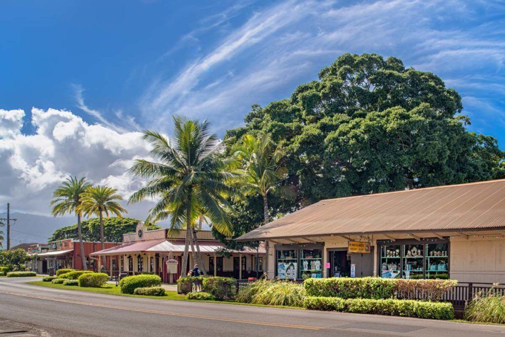 Photo of Others in Waialua