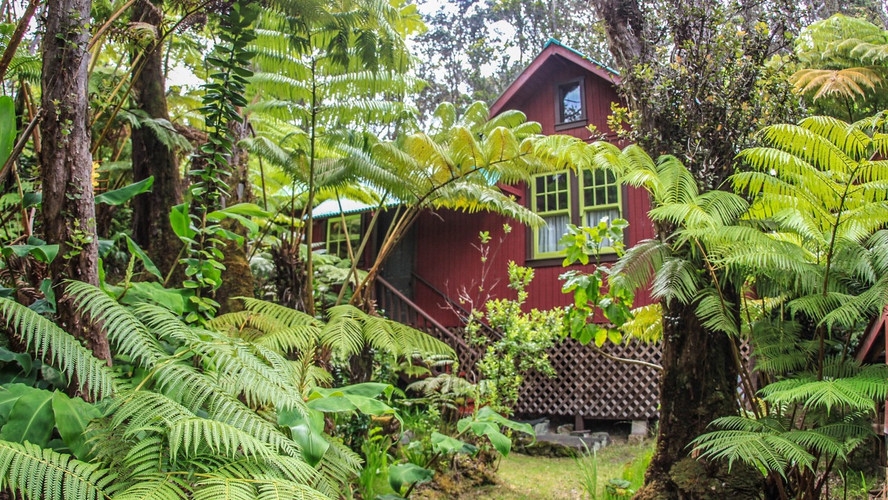 Photo of Outdoor in Volcano