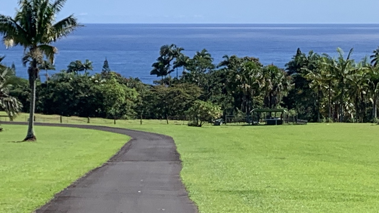 Photo of Others in Honomu
