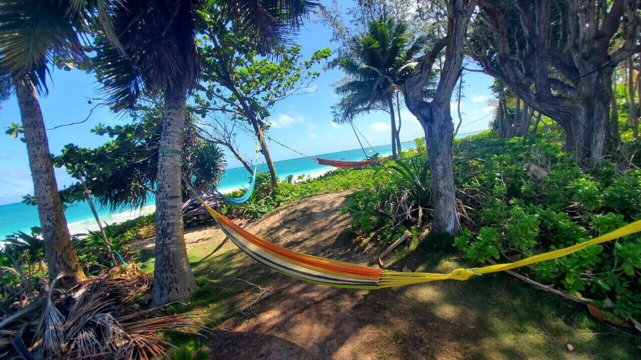 Photo of Others in Kailua