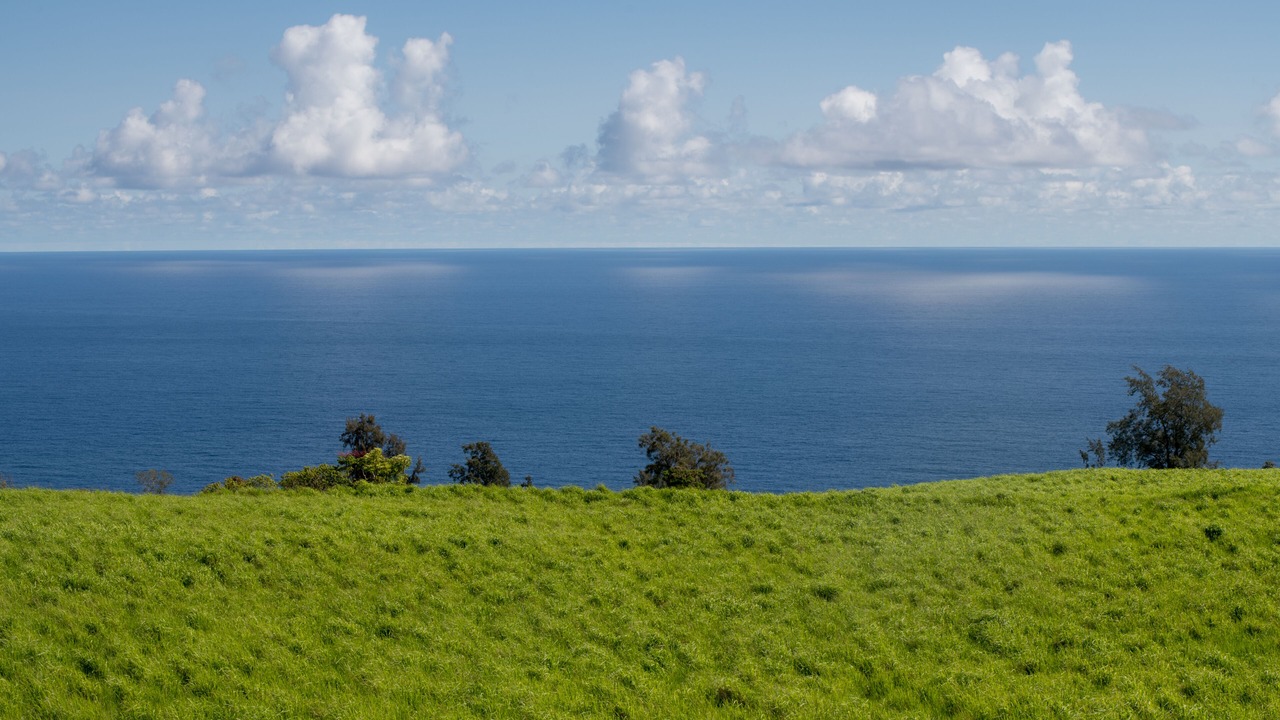 Photo of Others in Kukuihaele