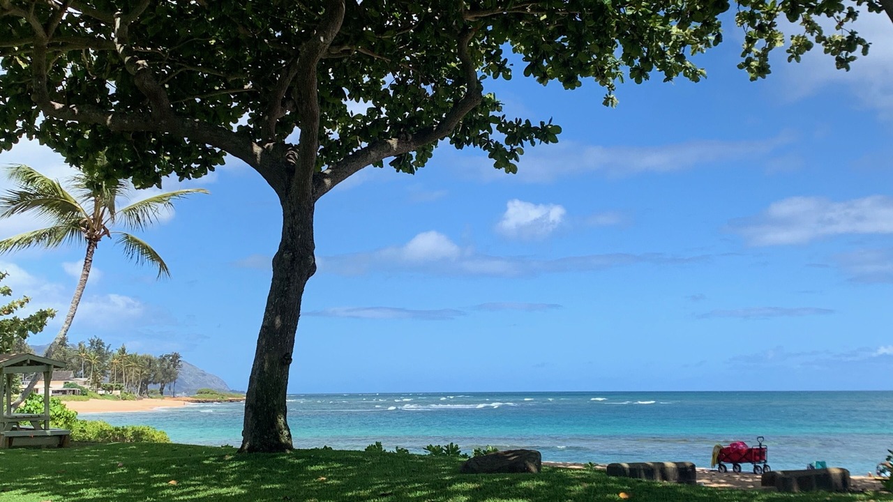 Photo of Others in Haleiwa