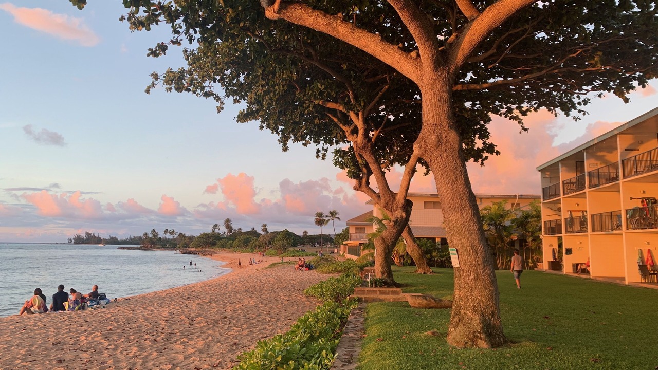 Photo of Others in Haleiwa
