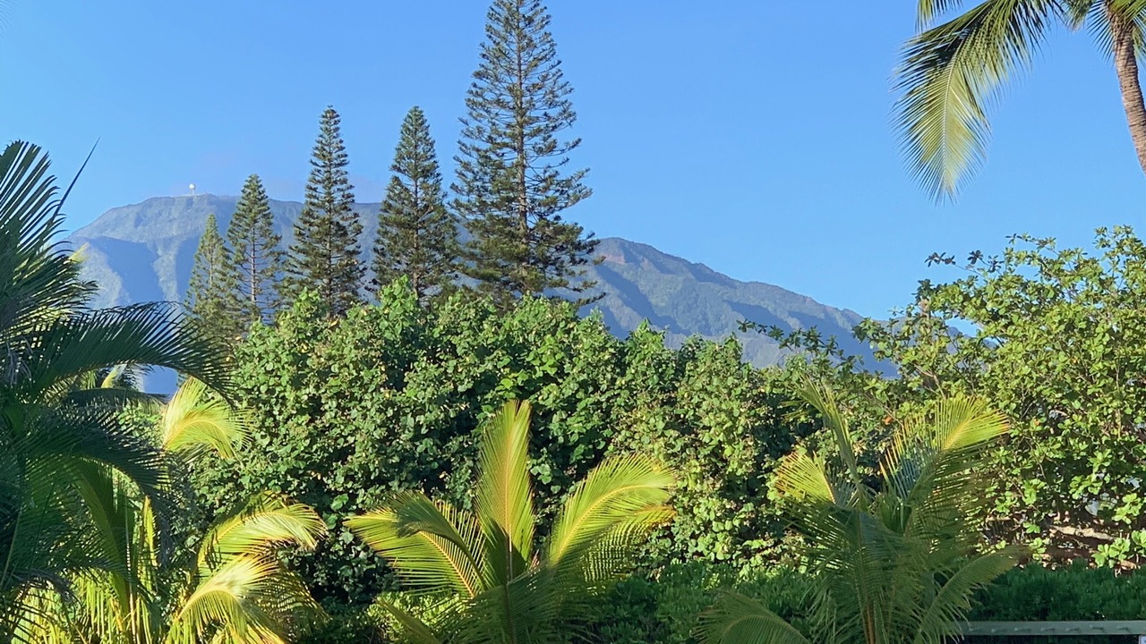 Photo of Others in Haleiwa