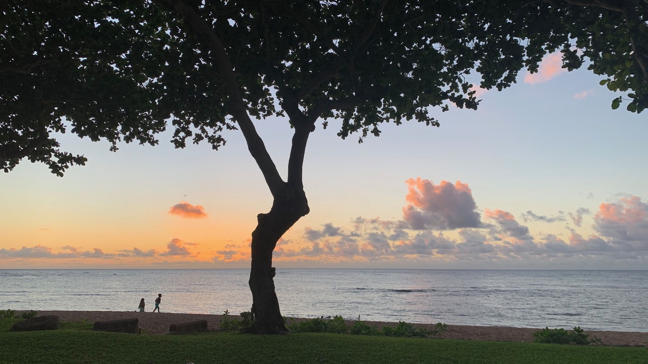 Photo of Others in Haleiwa
