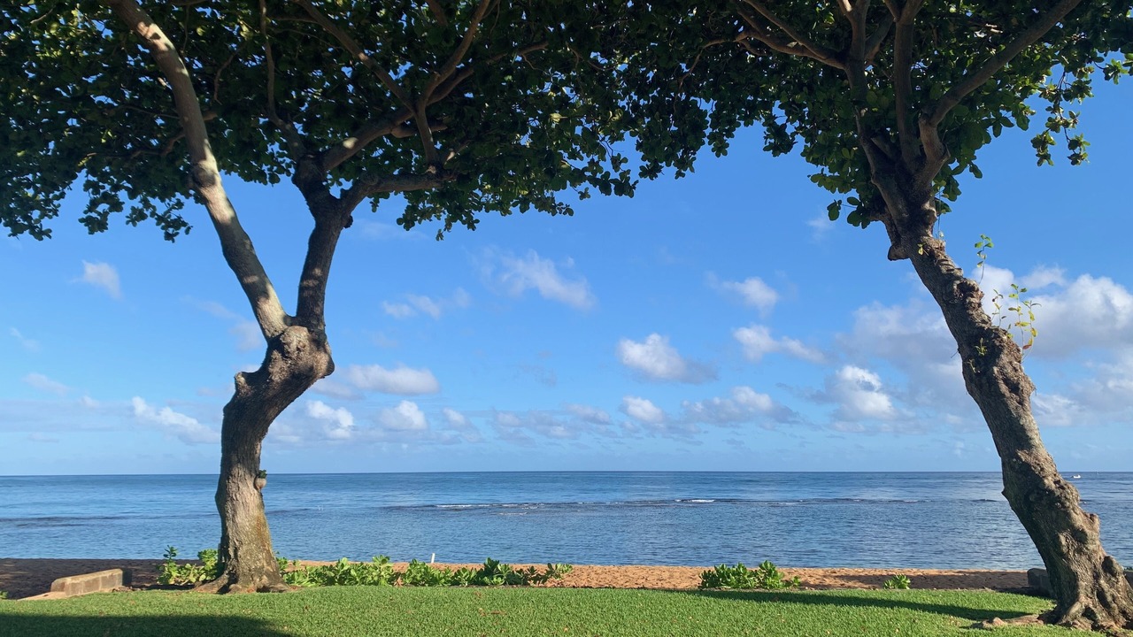 Photo of Others in Haleiwa