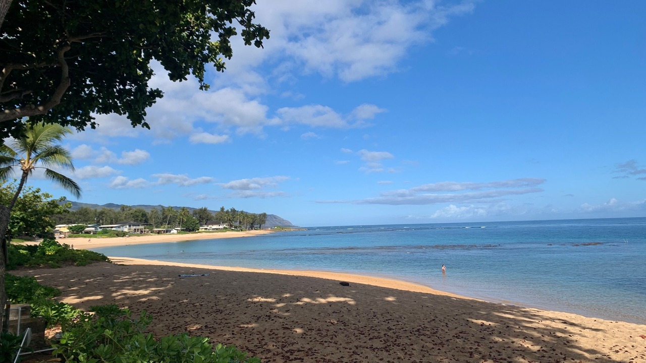 Photo of Others in Haleiwa