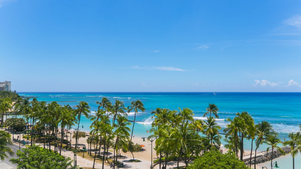 Photo of Others in Diamond Head - Kapahulu - St. Louis
