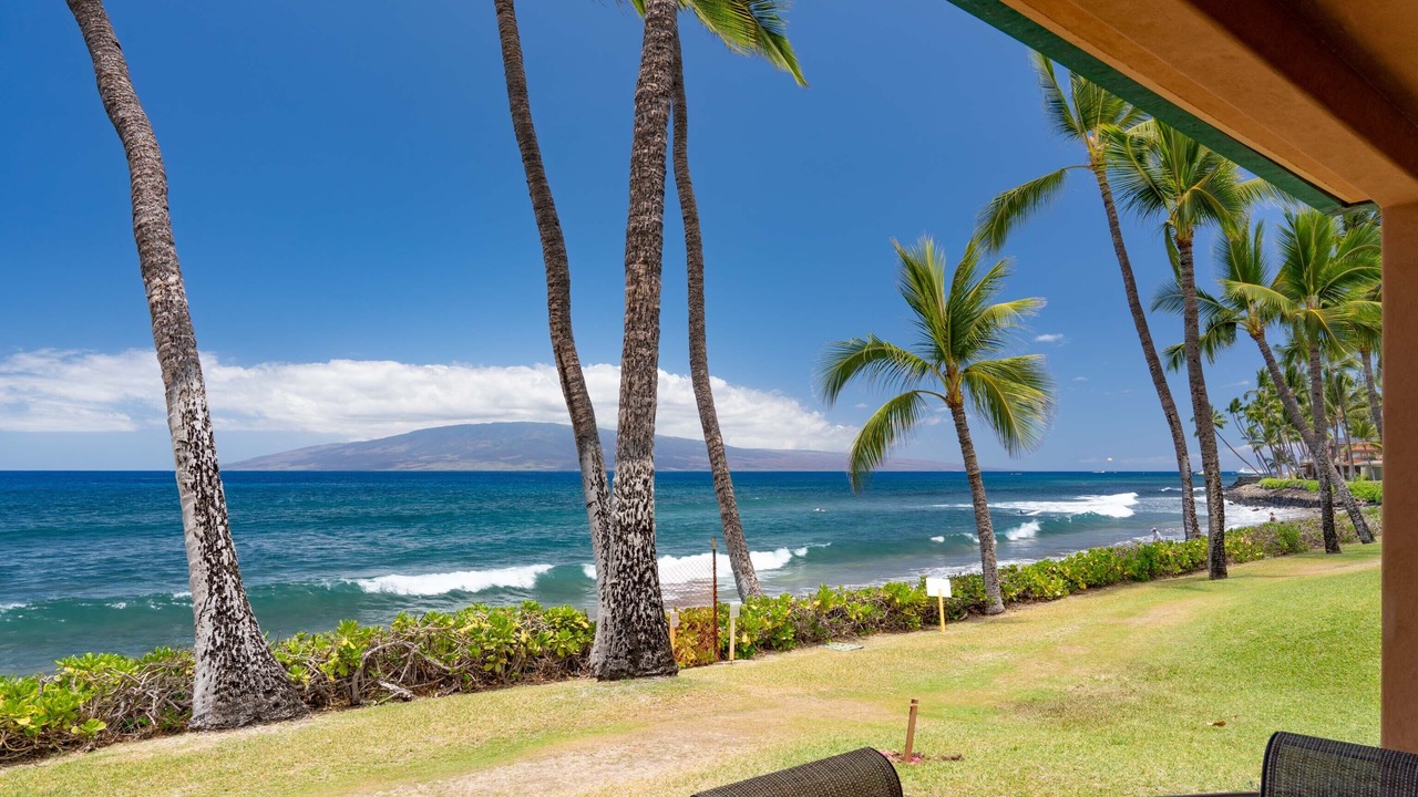 Photo of Outdoor in Downtown Lahaina