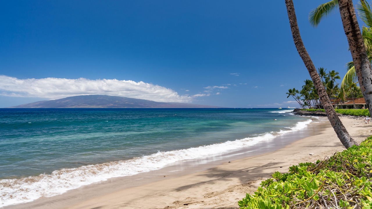 Photo of Others in Downtown Lahaina