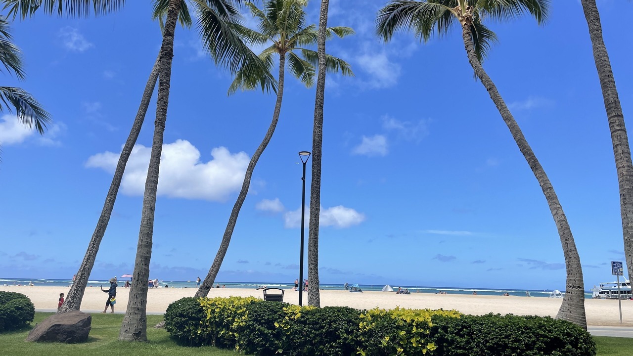 Photo of Others in McCully - Moiliili