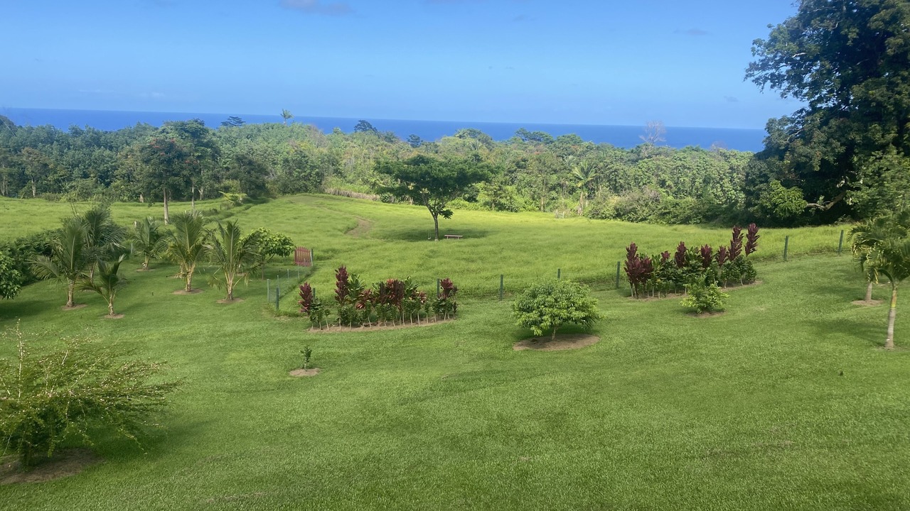 Photo of Outdoor in Papaikou
